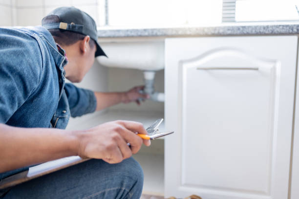 Best Plumbing Services Near Me  in West Monroe, MI