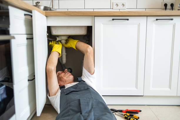 Best 24-Hour Plumber Near Me  in West Monroe, MI