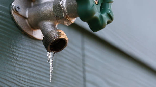 Best Plumbing Inspection Services  in West Monroe, MI