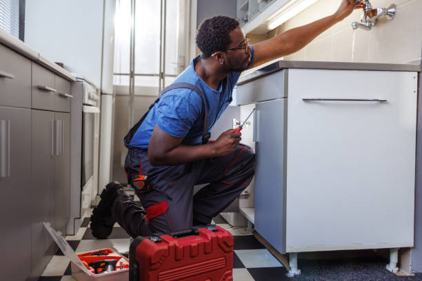 Best Plumbing Services Near Me  in West Monroe, MI
